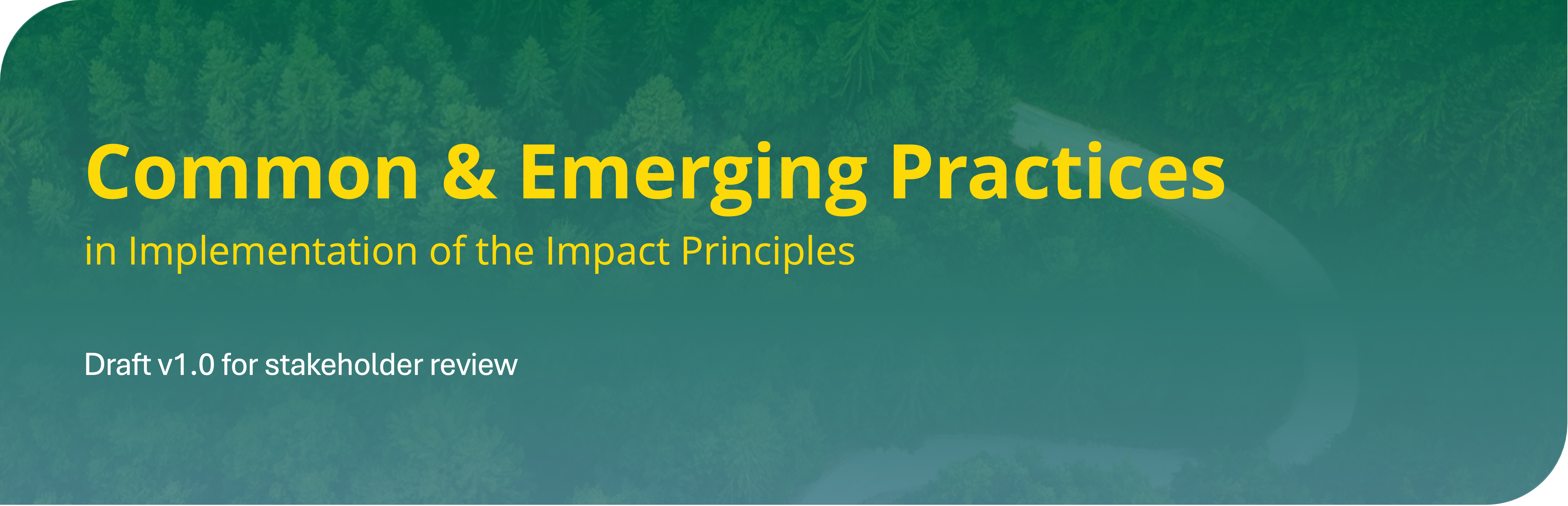 Common & Emerging Practices Header