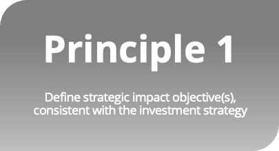 Principle 1