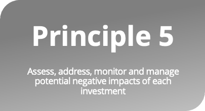 Principle 5